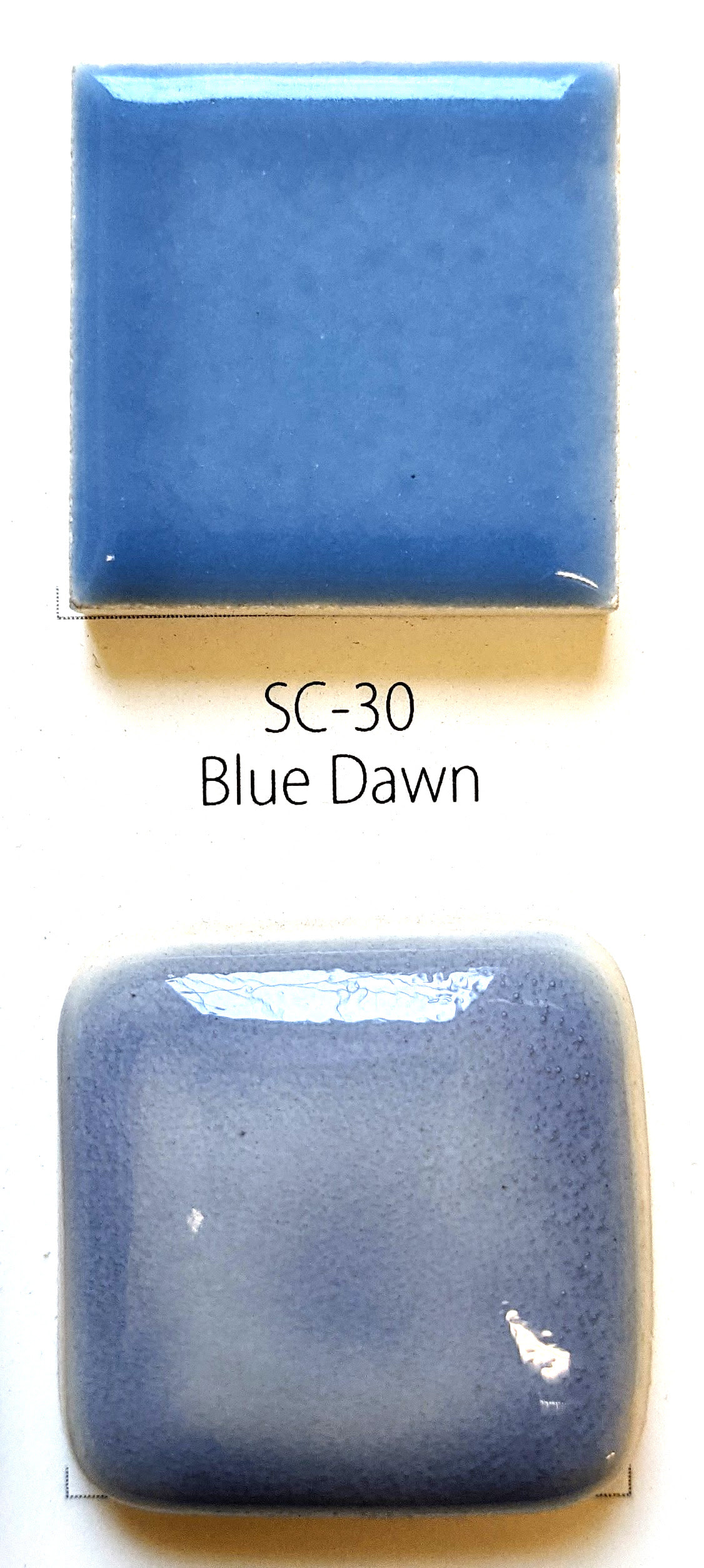 SC30 Blue Dawn 8 oz Mayco Stroke and Coat